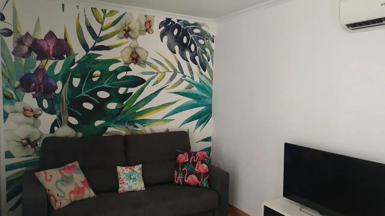 Apartment Ferienwohnung Atico Fenicia Cádiz